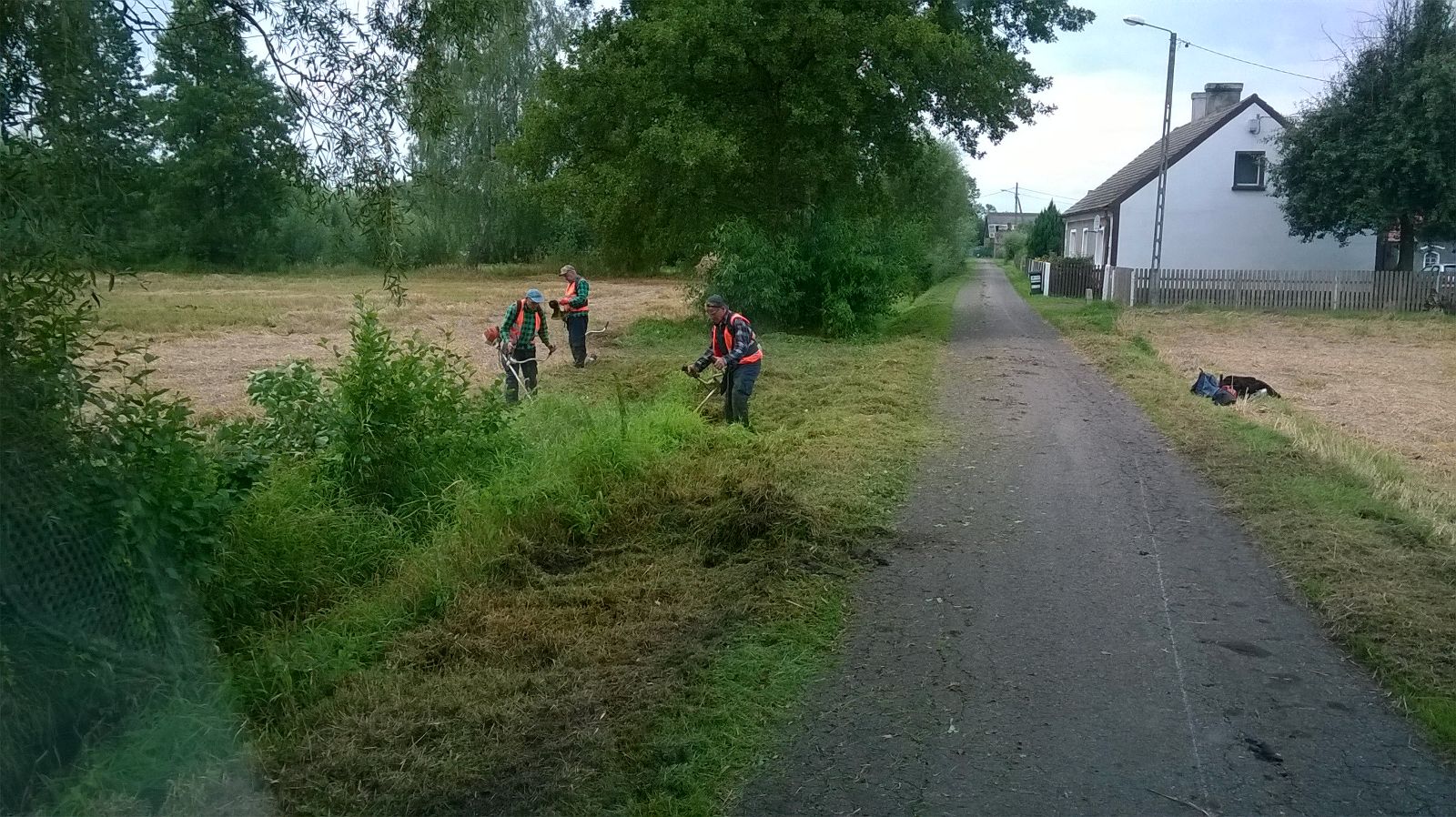 Koszenie - Bolemin Kołoment