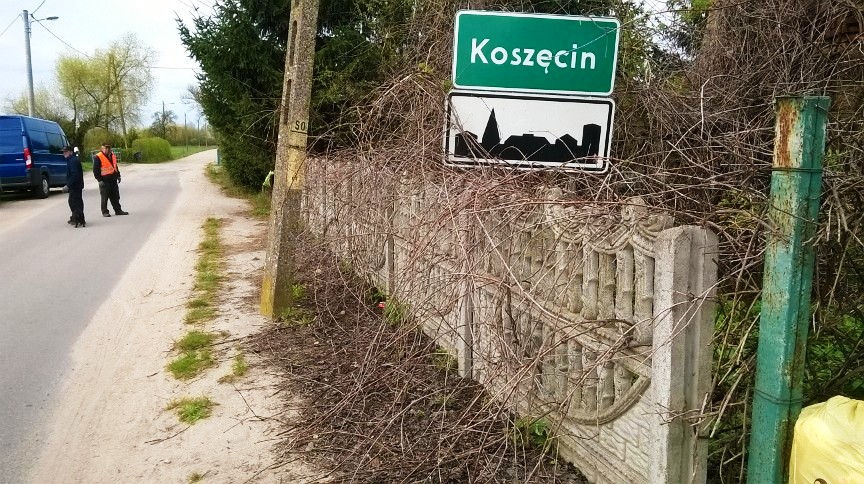 odkrzaczanie Koszęcin - przed